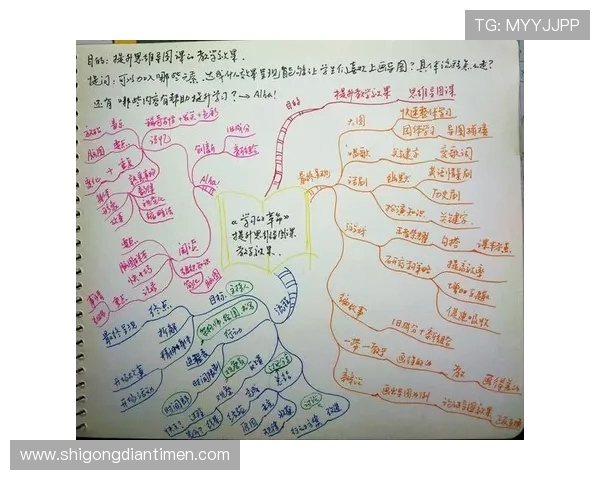 乒乓球场上的奋斗与成长杨静的深度对话与人生启示