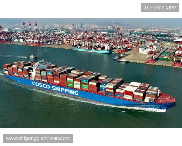 南京滑板队引领潮流最新滑板意识TOP10榜单揭晓