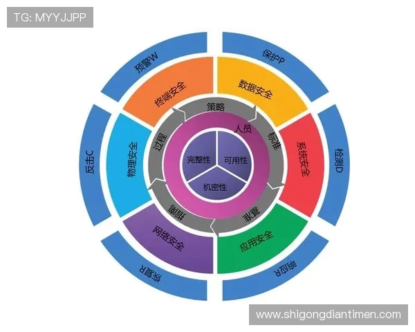 广州排球队反击策略解析与未来发展展望