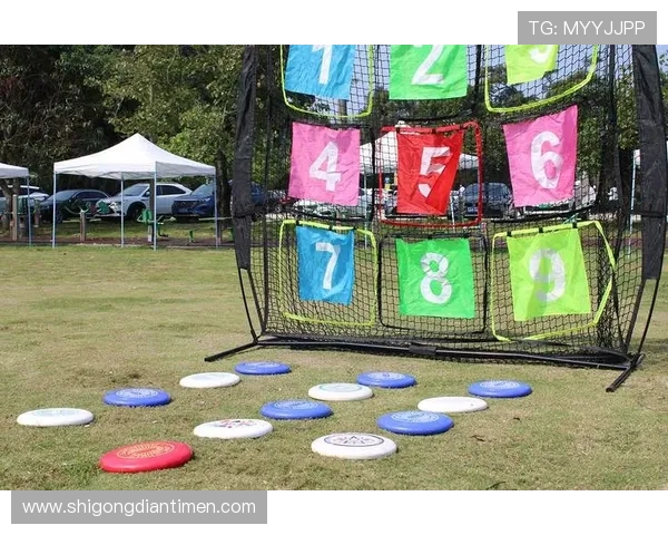 深圳飞盘队的意识觉醒与团队精神探讨聚焦飞盘运动的未来发展