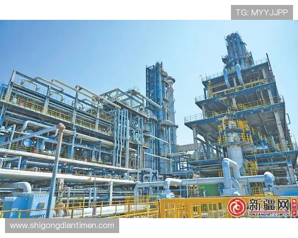 重庆排球队灵活应变的策略与训练探索之路