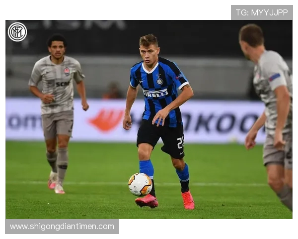 深圳篮球队灵活性分析与战术调整的深度探讨