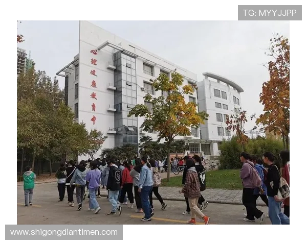 武汉篮球队心理素质分析与表现评估研究报告