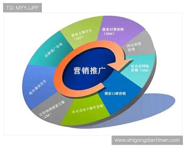 武汉飞盘队的成功运营策略与发展模式深度解析