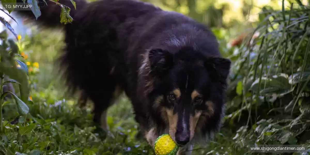 ⚽热血赛事，点燃你的每一刻！🔥